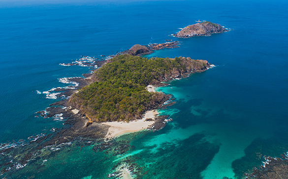 La región PACA integra cinco ecorregiones marinas y alberga especies de alto valor para la conservación