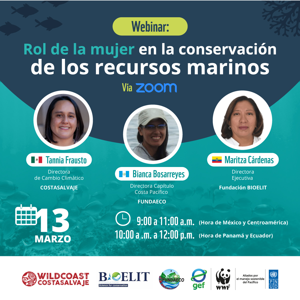 WEBCORREGIDAS WEBCORREGIDAS