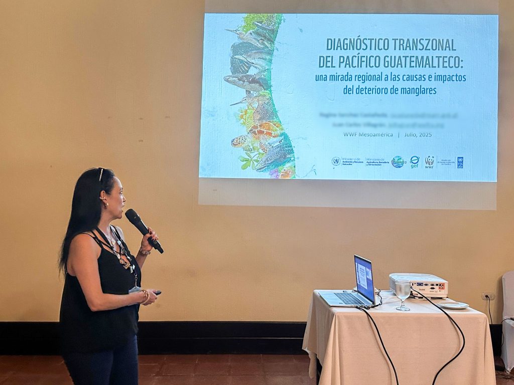 Guatemala presenta diagnóstico sobre el estado del ambiente marino-costero del Pacífico 1 regina sanchez presentacion