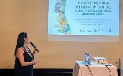 Guatemala presenta diagnóstico sobre el estado del ambiente marino-costero del Pacífico