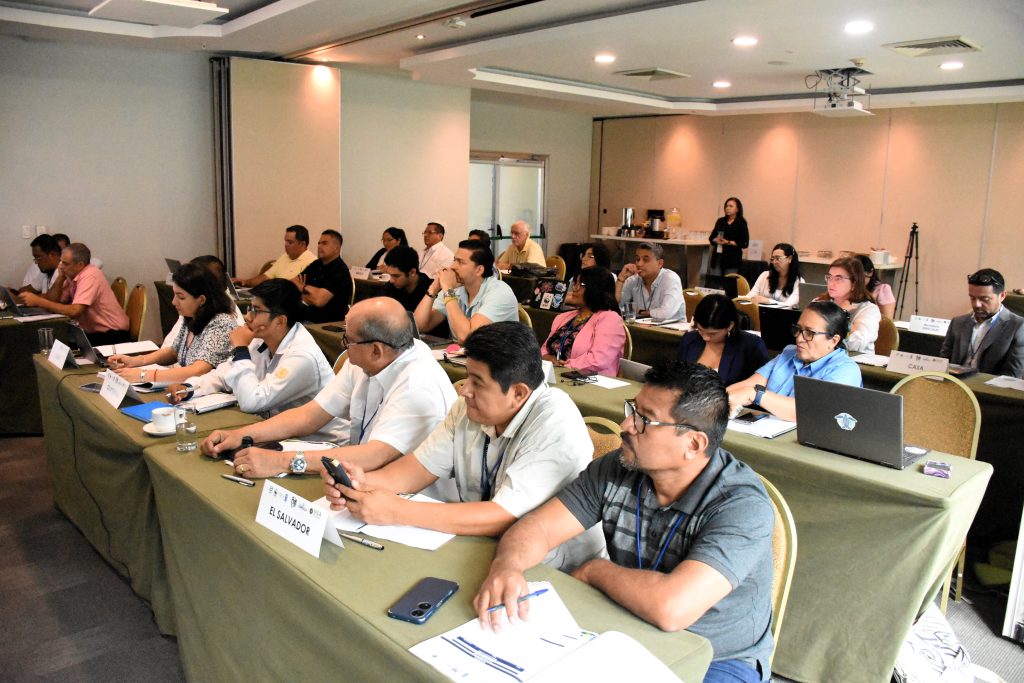 La región trabaja en un plan para ordenar la pesca deportiva del pez vela y el marlín 4 DSC 4994