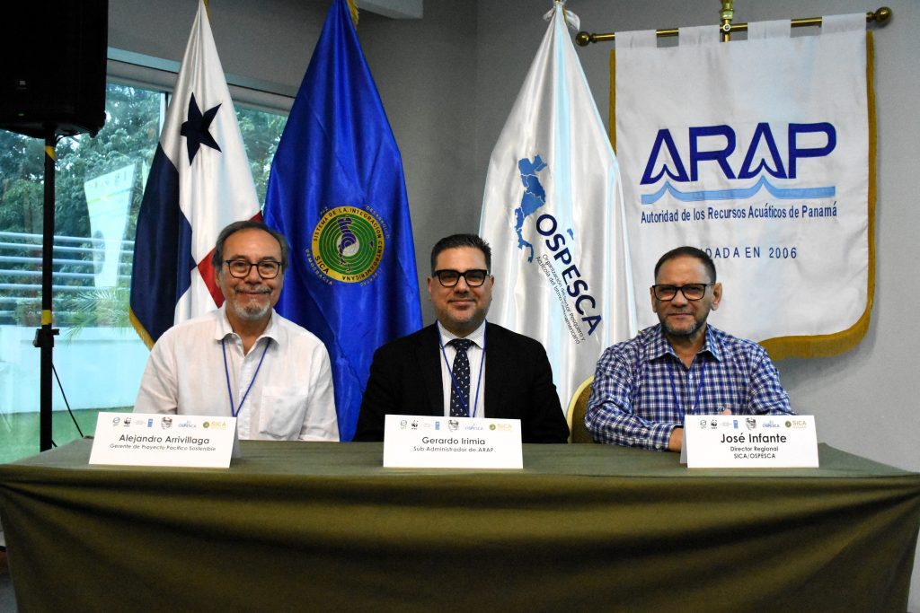 La región trabaja en un plan para ordenar la pesca deportiva del pez vela y el marlín 3 DSC 5080