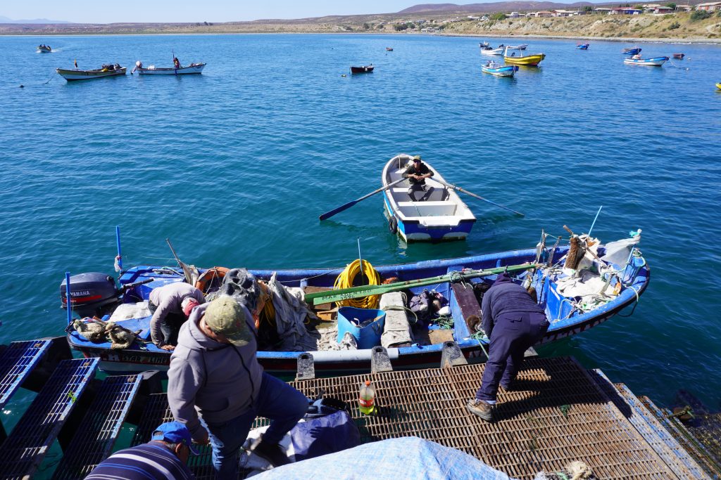 Viajar al mañana para transformar nuestro presente 1 © PNUD Proyecto Humboldt II – Site visit to Puerto Aldea Chile