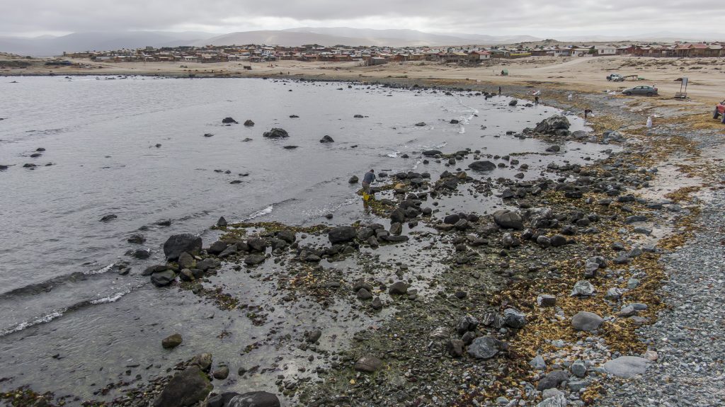 Viajar al mañana para transformar nuestro presente 4 ©PNUD Proyecto Humboldt II Caldera Chile