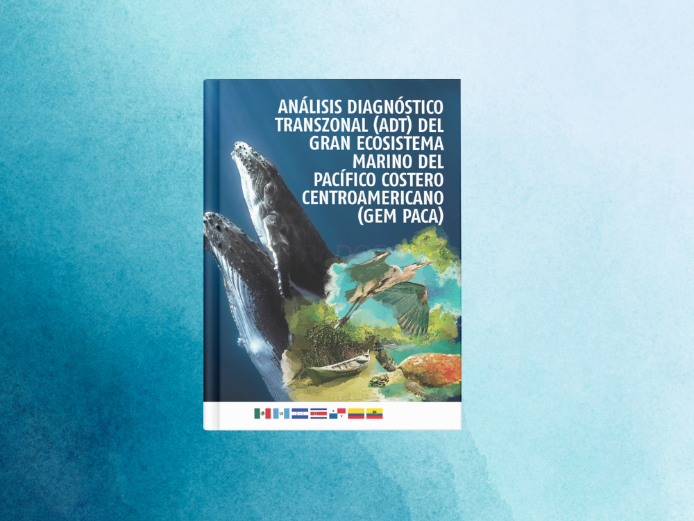 Diagnostico Panama 1